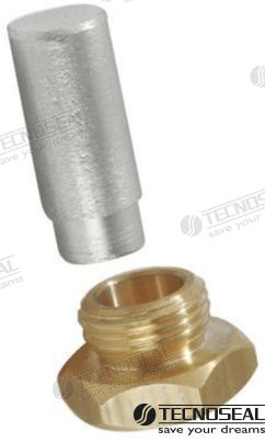 Anodo Renault C/tapon 18X1,5MM Zinc Tecnoseal