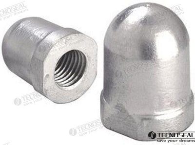 Anodo Renault 28-34MM Zinc Tecnoseal