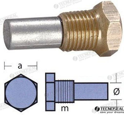 Kit Anodo Bukh C/tapon Tecnoseal
