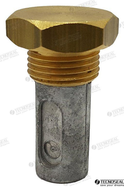 Anodo Renault C/tapon Tecnoseal