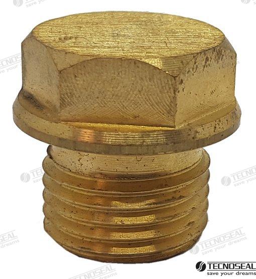 Tapon Anodo Nanni Mercedes Zinc Tecnoseal