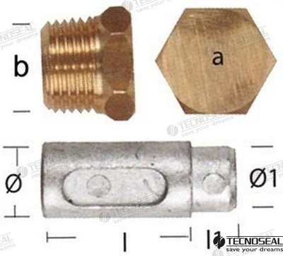 Anodo Lombardini Zinc C/tapon Tecnoseal