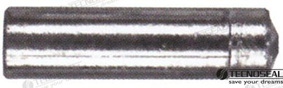 Anodo Lombardini Zinc TEN02353T Tecnoseal