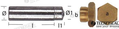 Anodo Para Lombardini Zinc Ø 15MM Tecnoseal