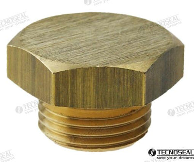Tapon Anodo Lombardini TEN02353T Tecnoseal