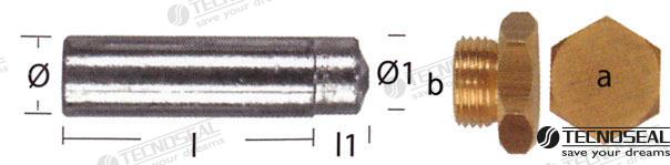 Anodo Para Lombardini Zinc Ø 15MM Tecnoseal