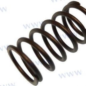 SPRING, VALVE STEM