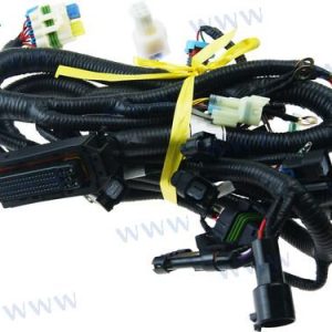 WIRING HARNESS, ECU CONTROL DELFI