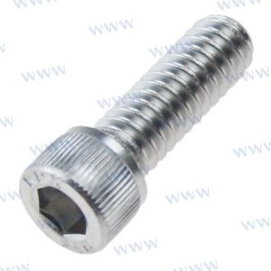 SC SOC CAP 1/4-20X3/4L 316SS