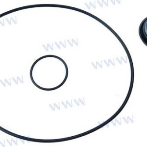 SEAL KIT BOOSTER PMP N200