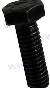 TORNILLO TAPA COLECTOR