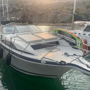 Bayliner Avanti 3255 Express